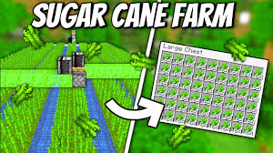 Minecract Automatic Sugarcane Farm schematic (litematic)